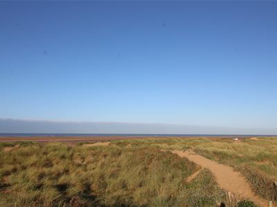 Picture 19